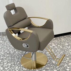 Premium Hydraulic Salon Styling Chair Grey Gold